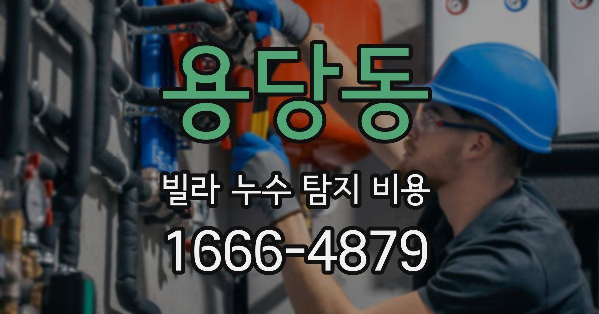 용당동 빌라 누수 탐지 비용
