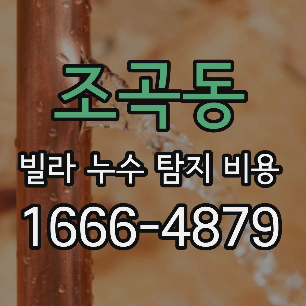 조곡동 빌라 누수 탐지 비용