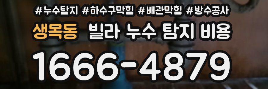 생목동 빌라 누수 탐지 비용
