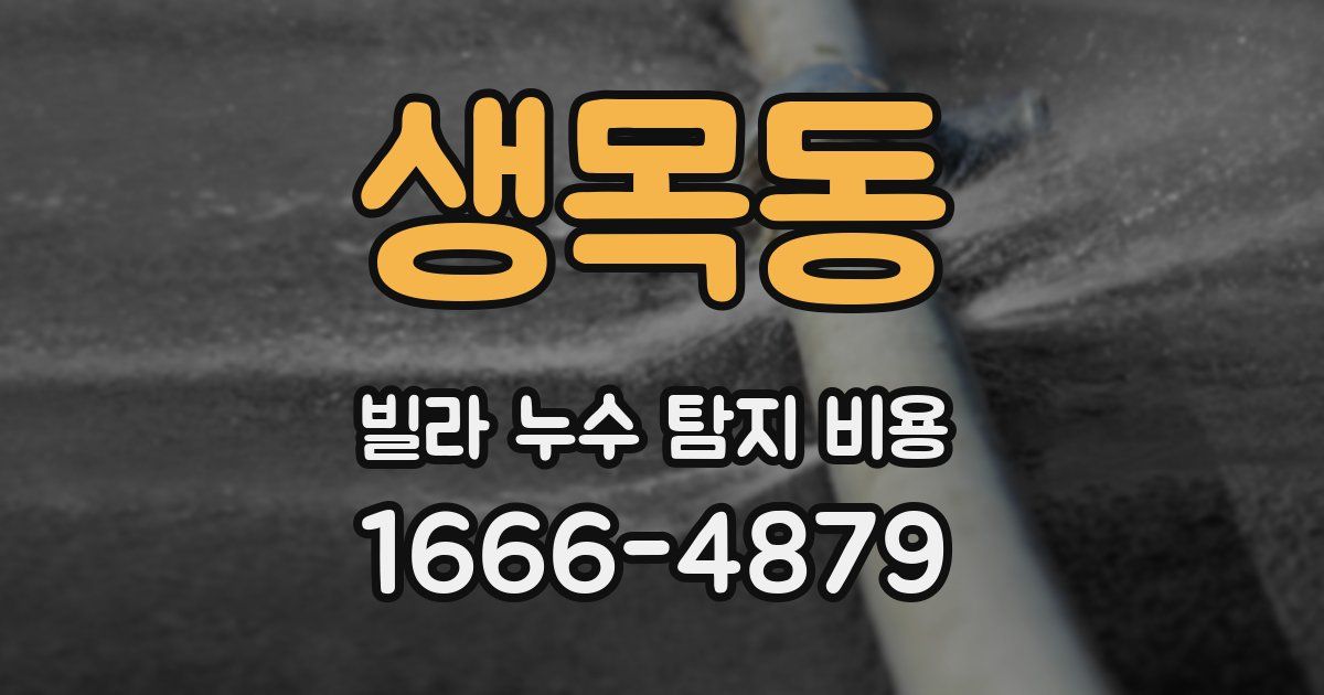 생목동 빌라 누수 탐지 비용