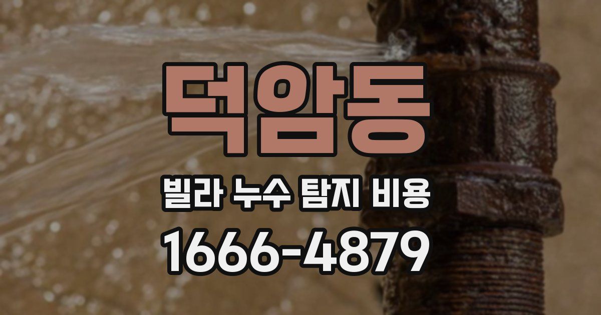 덕암동 빌라 누수 탐지 비용