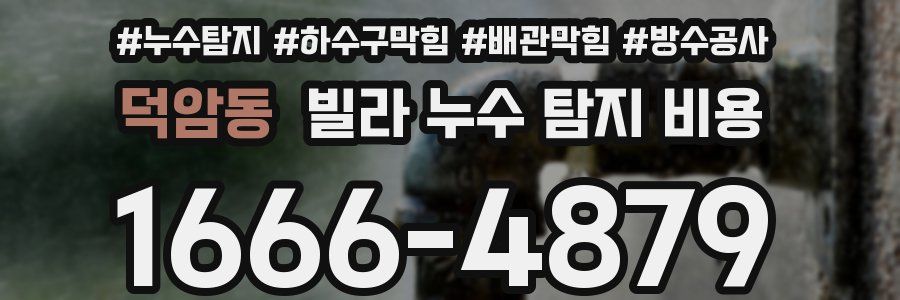 덕암동 빌라 누수 탐지 비용