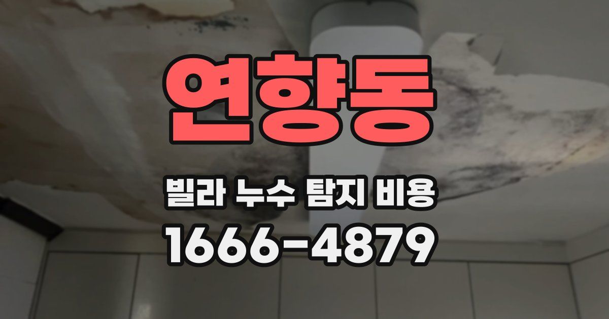 연향동 빌라 누수 탐지 비용