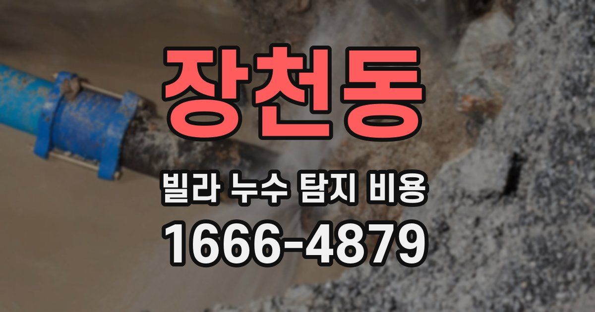 장천동 빌라 누수 탐지 비용