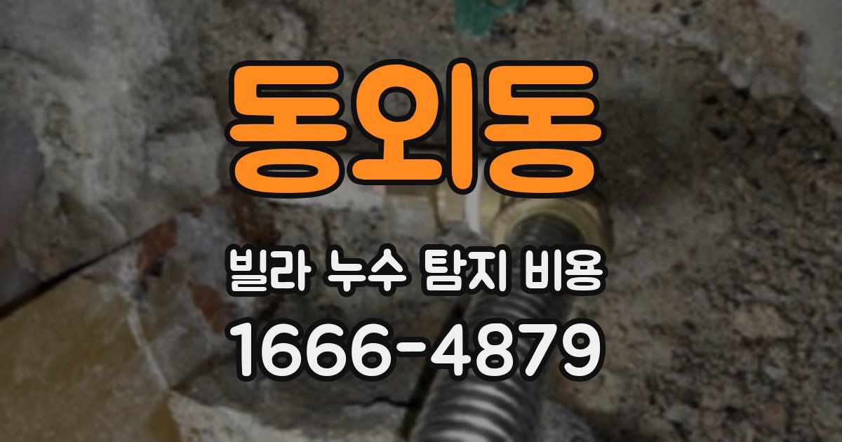 동외동 빌라 누수 탐지 비용