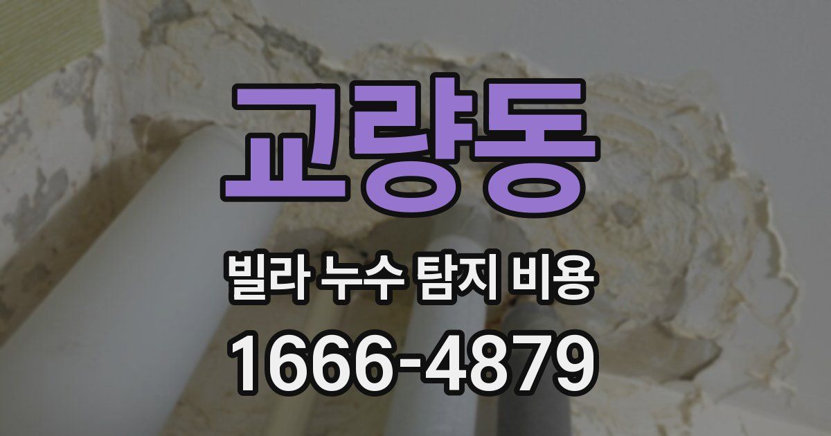 교량동 빌라 누수 탐지 비용