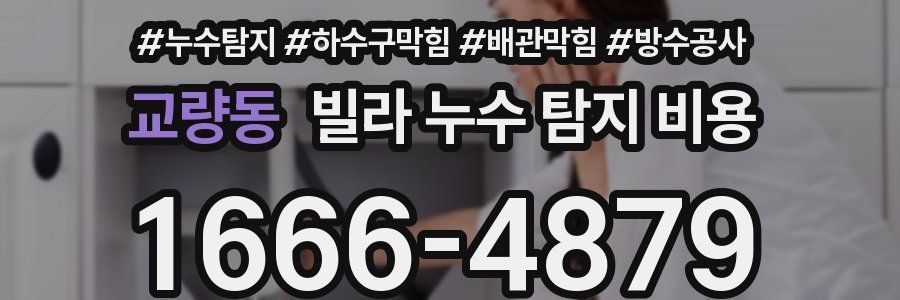 교량동 빌라 누수 탐지 비용