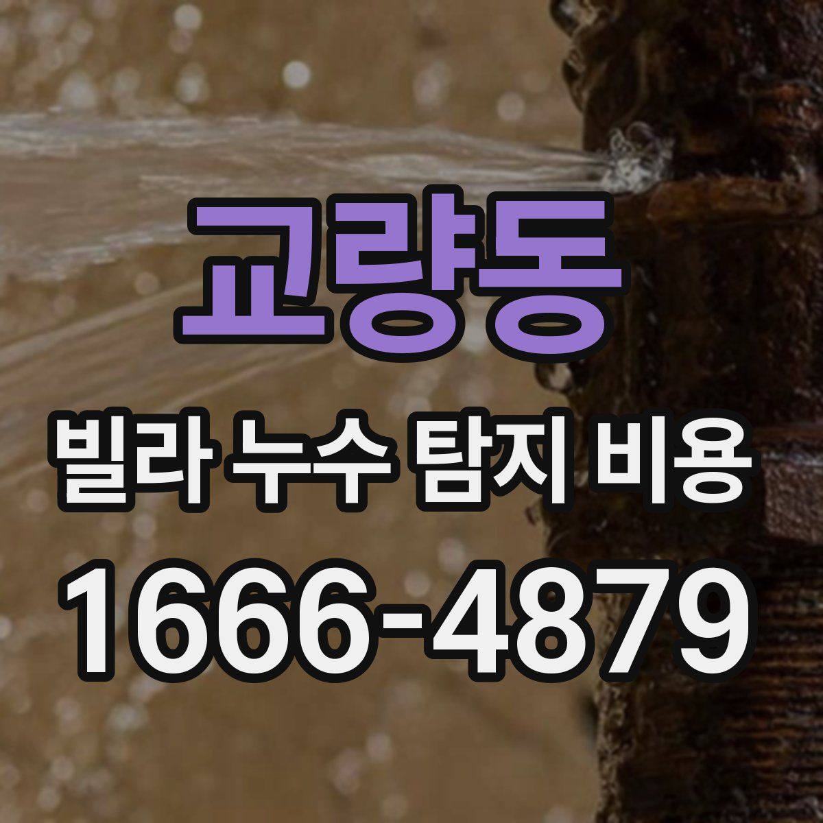 교량동 빌라 누수 탐지 비용