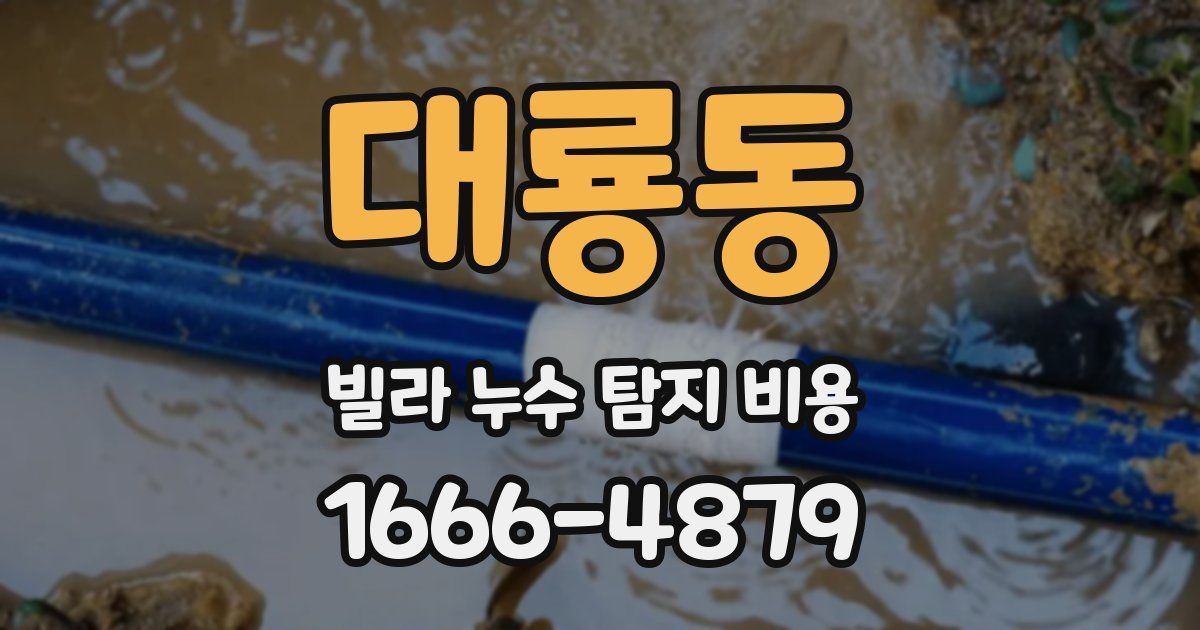 대룡동 빌라 누수 탐지 비용