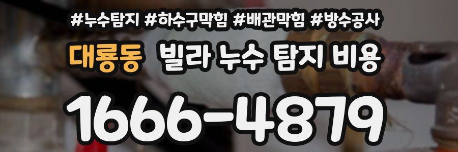 대룡동 빌라 누수 탐지 비용