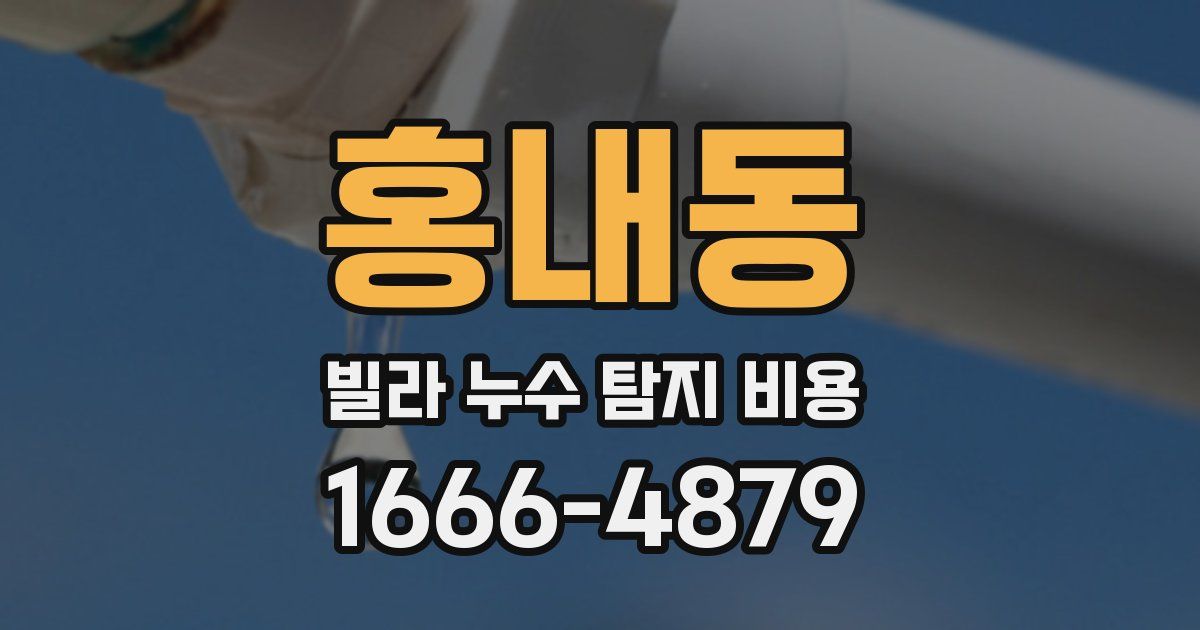 홍내동 빌라 누수 탐지 비용