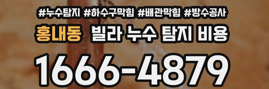 홍내동 빌라 누수 탐지 비용