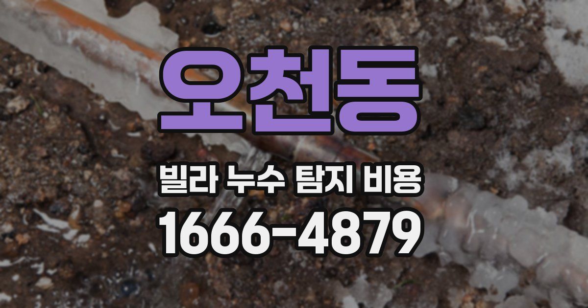 오천동 빌라 누수 탐지 비용
