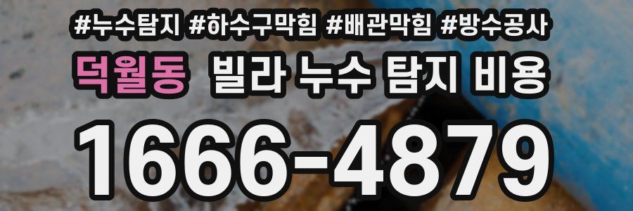 덕월동 빌라 누수 탐지 비용