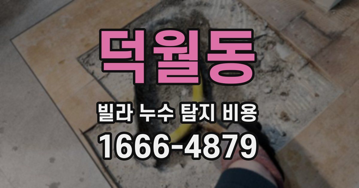 덕월동 빌라 누수 탐지 비용