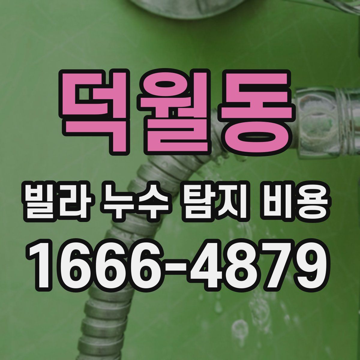 덕월동 빌라 누수 탐지 비용