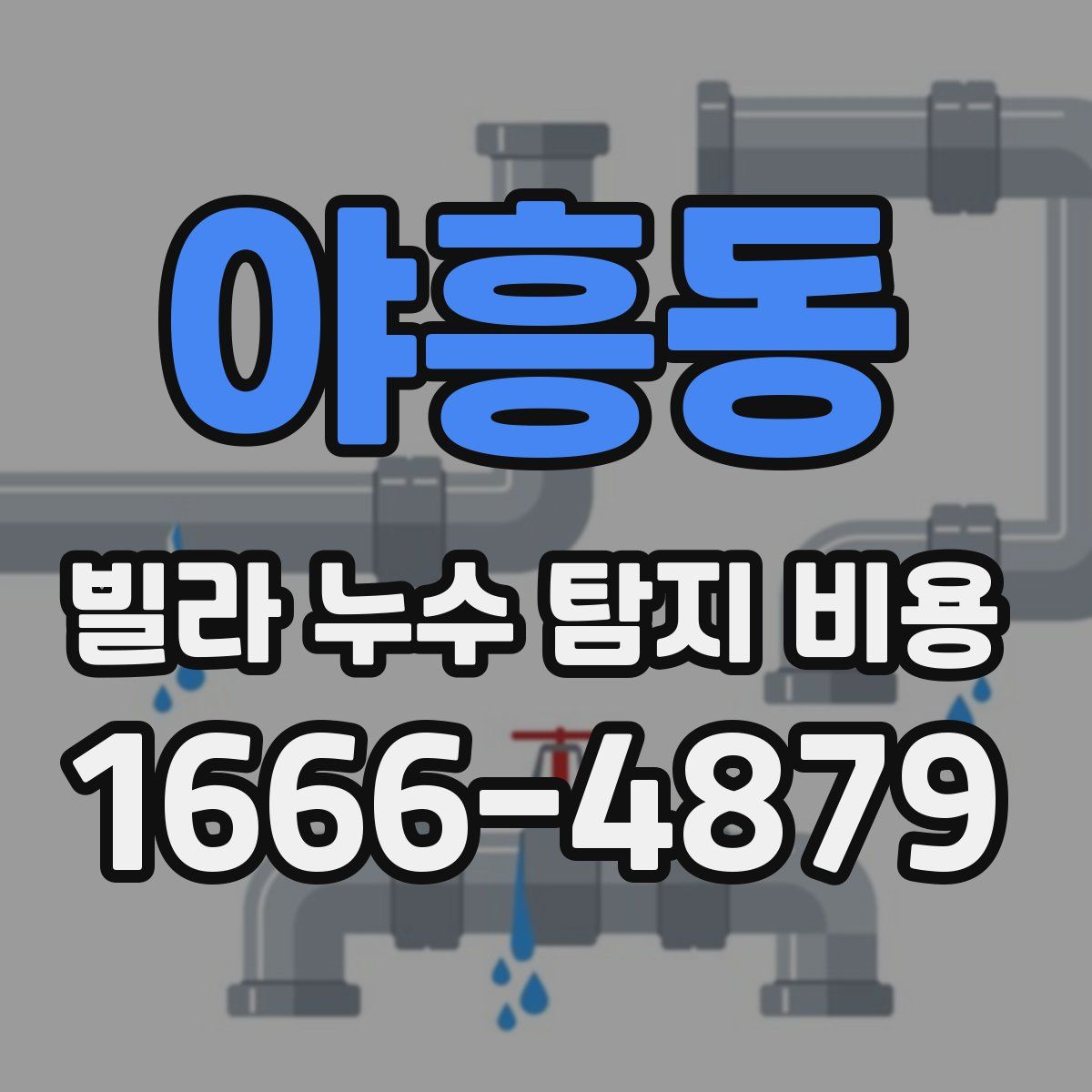 야흥동 빌라 누수 탐지 비용