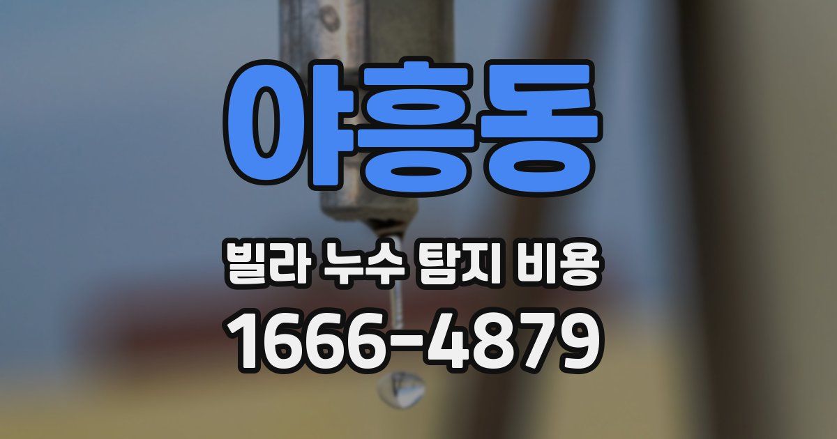 야흥동 빌라 누수 탐지 비용