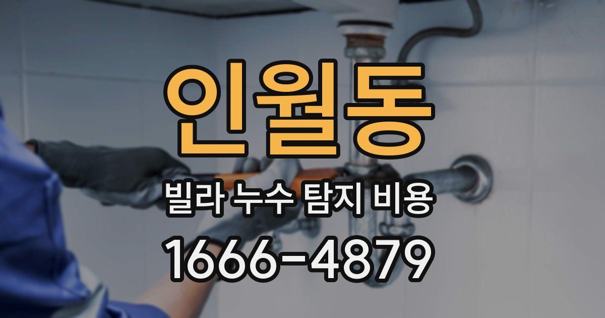 인월동 빌라 누수 탐지 비용