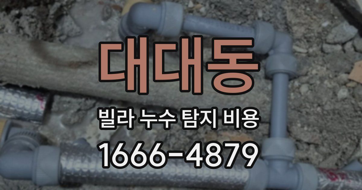 대대동 빌라 누수 탐지 비용