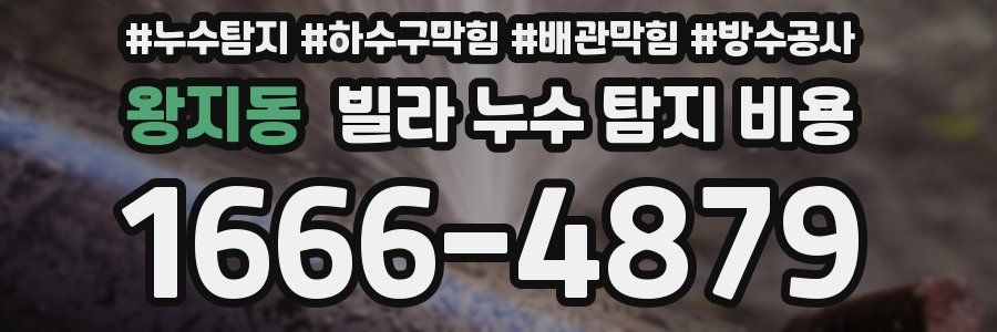 왕지동 빌라 누수 탐지 비용