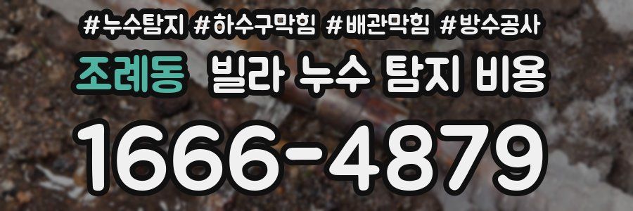 조례동 빌라 누수 탐지 비용