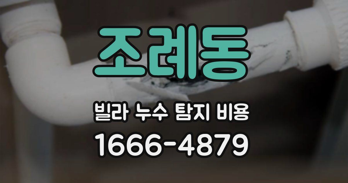 조례동 빌라 누수 탐지 비용