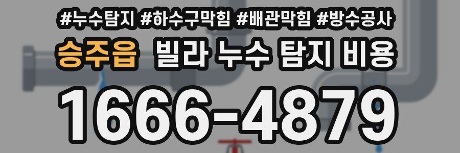 승주읍 빌라 누수 탐지 비용