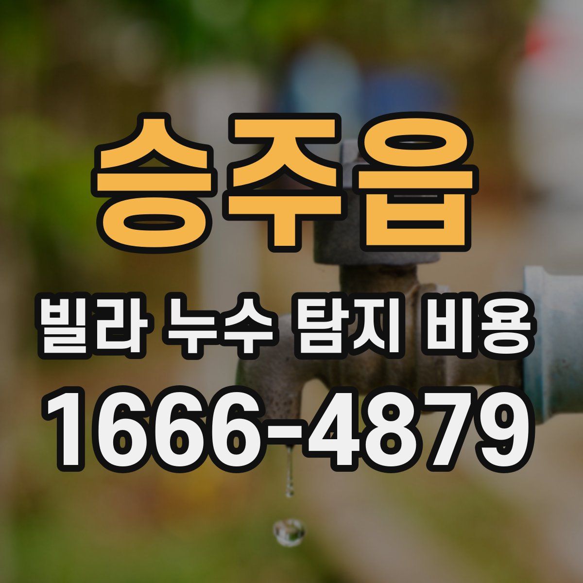 승주읍 빌라 누수 탐지 비용