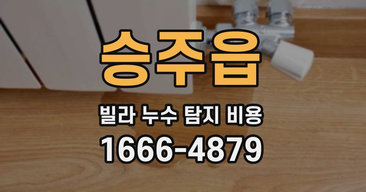 승주읍 빌라 누수 탐지 비용
