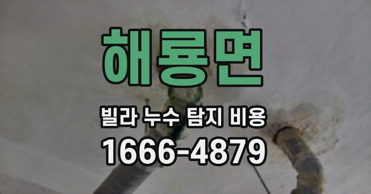 해룡면 빌라 누수 탐지 비용
