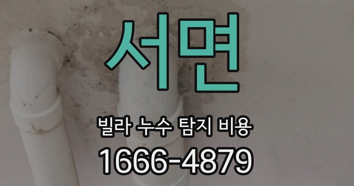 서면 빌라 누수 탐지 비용