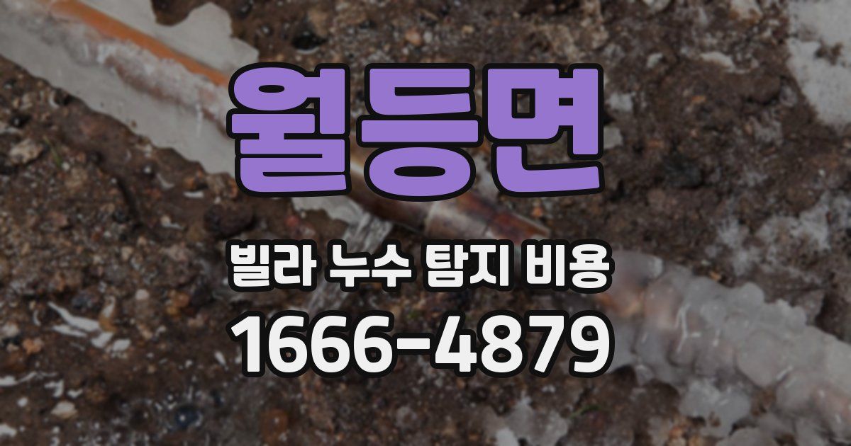 월등면 빌라 누수 탐지 비용