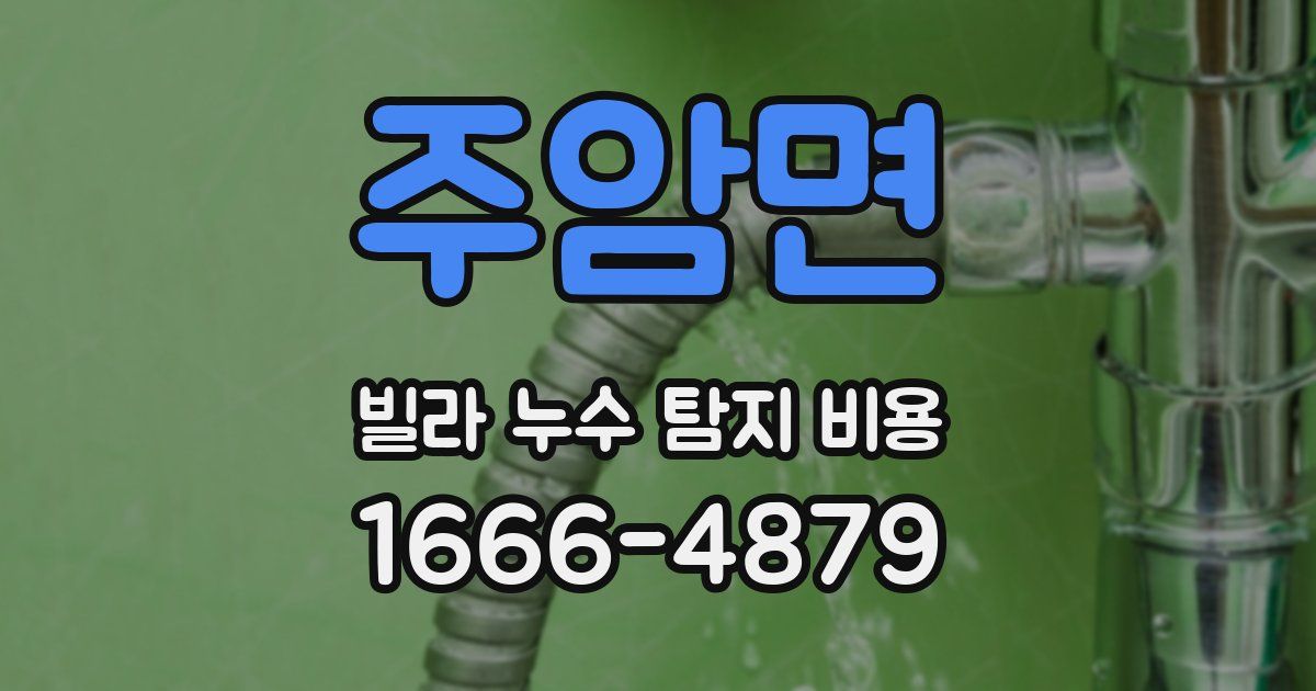 주암면 빌라 누수 탐지 비용