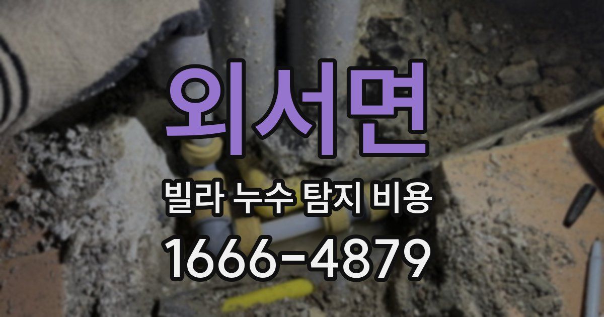외서면 빌라 누수 탐지 비용
