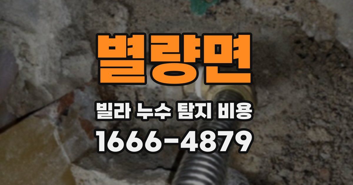 별량면 빌라 누수 탐지 비용