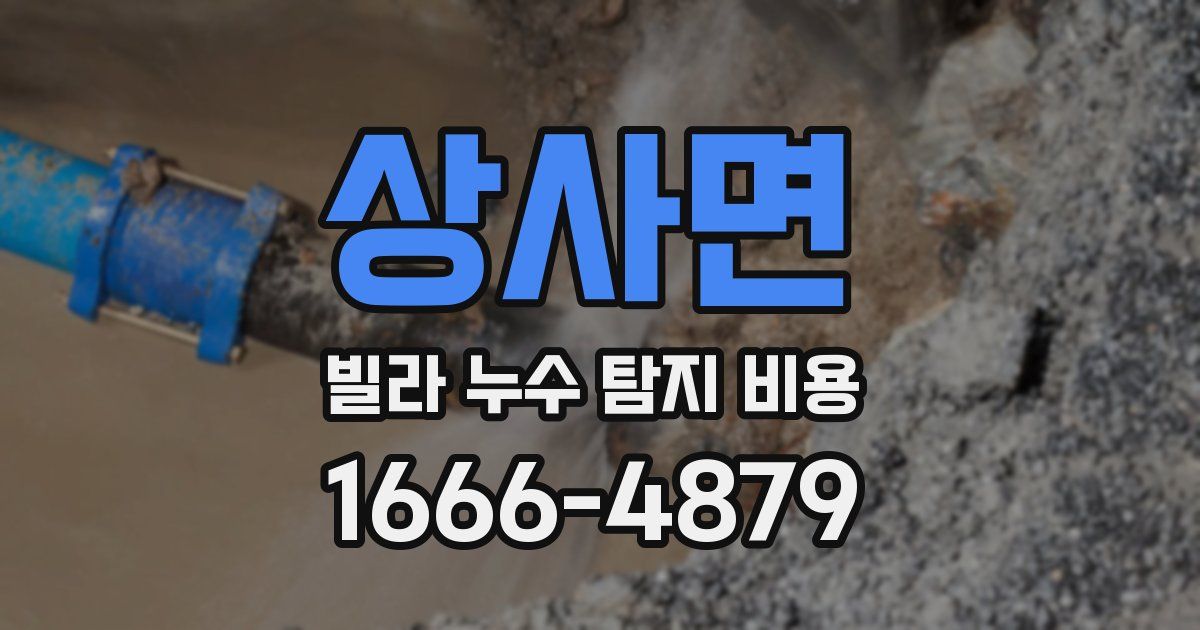 상사면 빌라 누수 탐지 비용