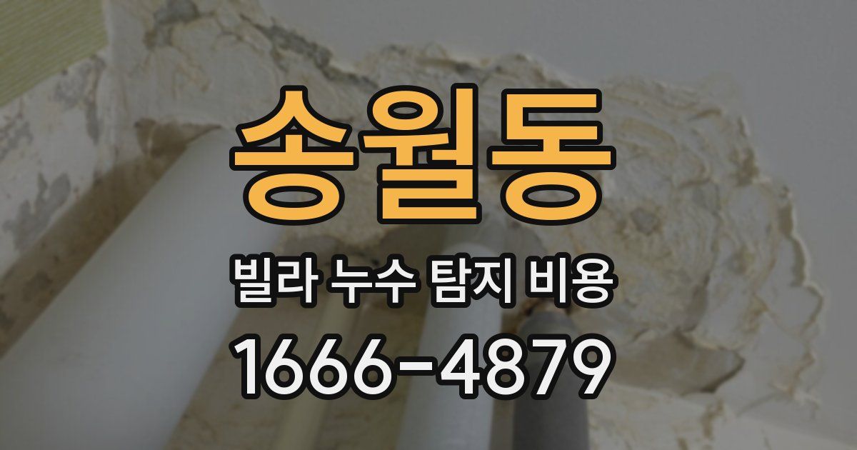 송월동 빌라 누수 탐지 비용