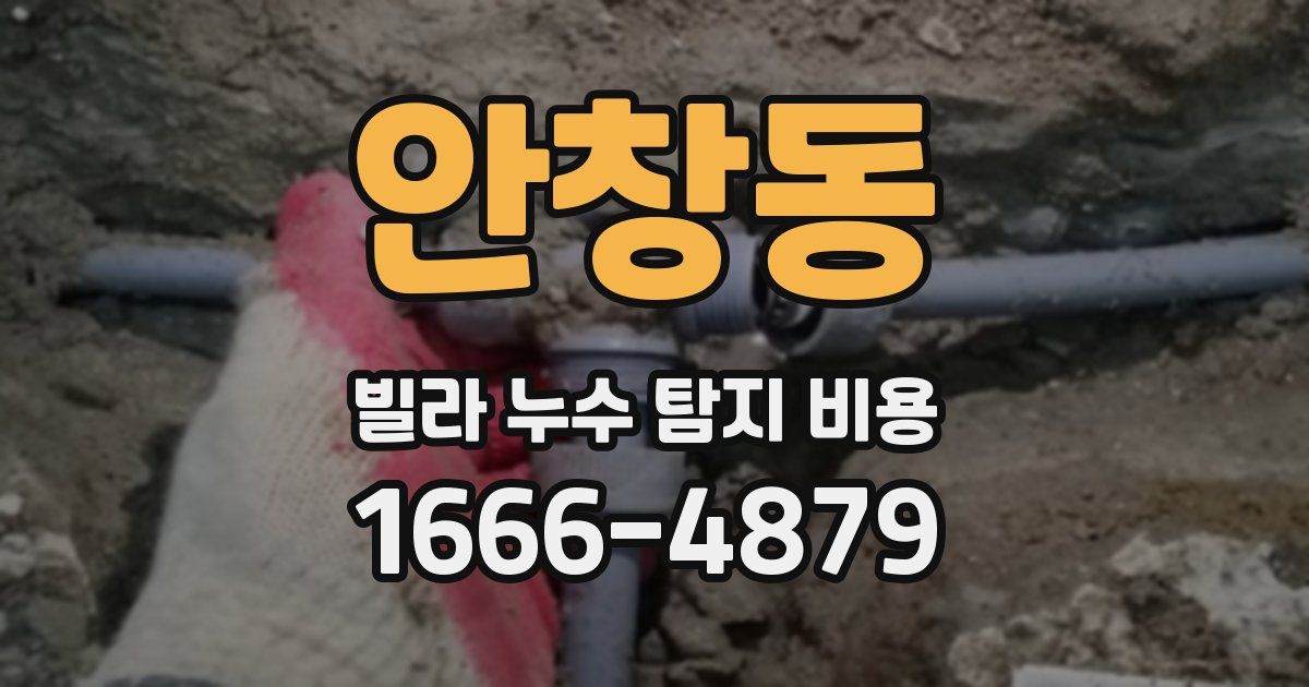 안창동 빌라 누수 탐지 비용