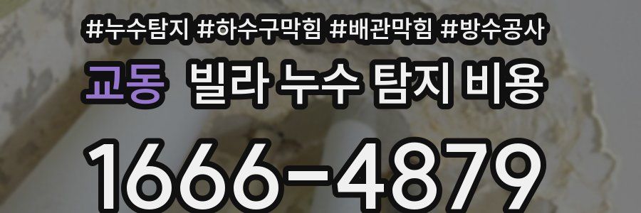 교동 빌라 누수 탐지 비용