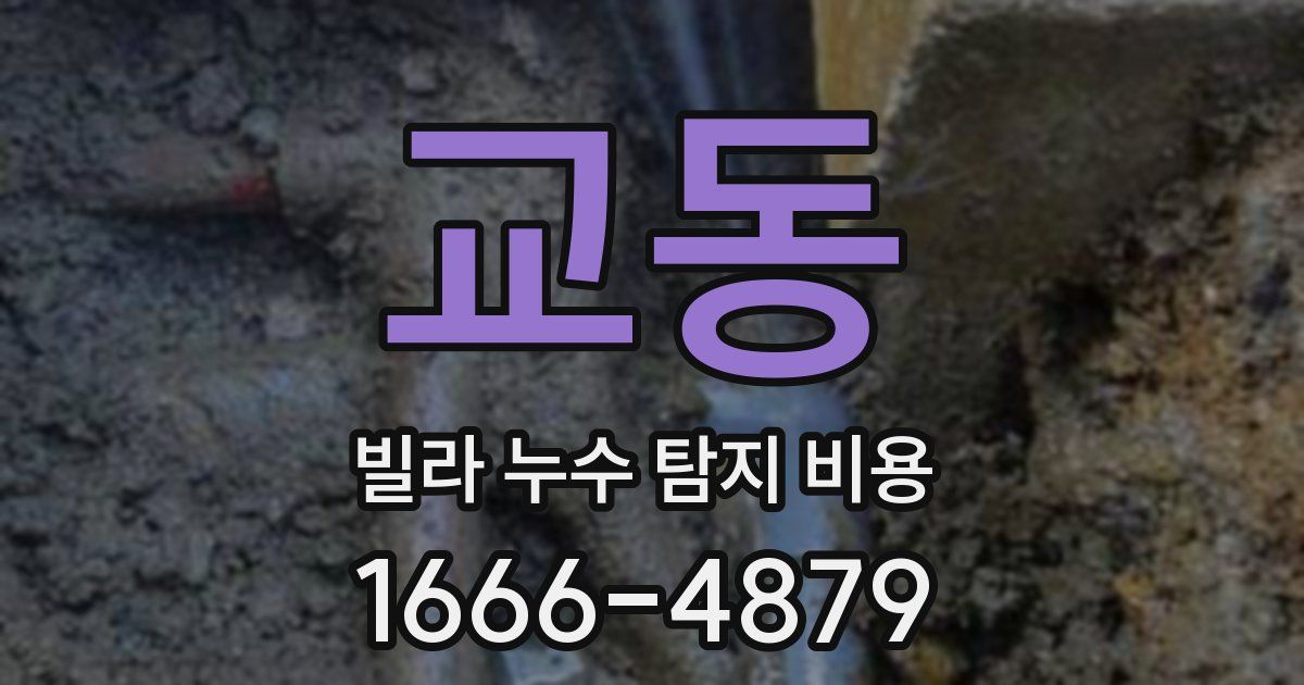 교동 빌라 누수 탐지 비용