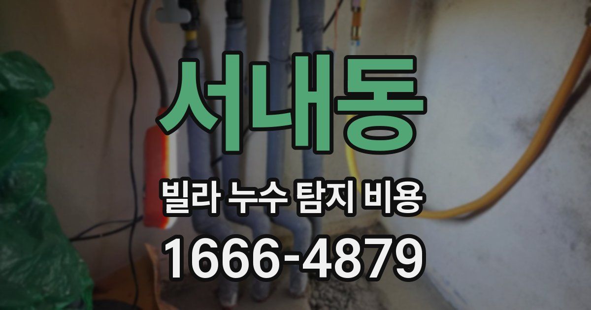 서내동 빌라 누수 탐지 비용
