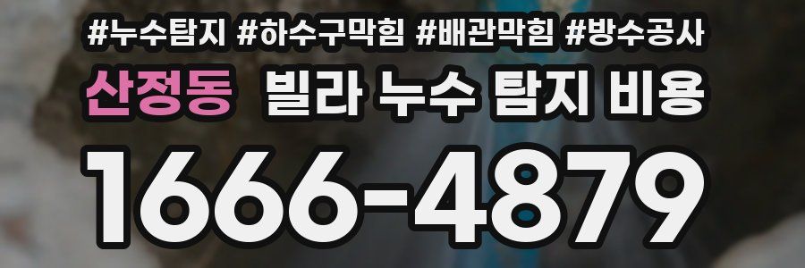 산정동 빌라 누수 탐지 비용