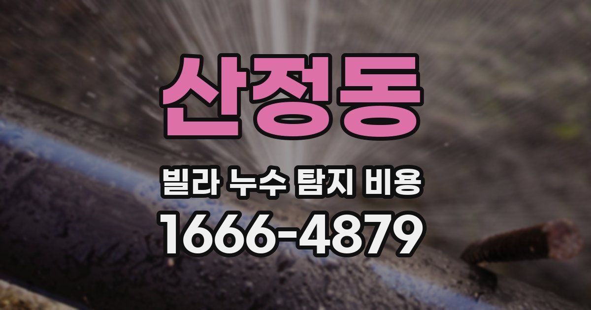 산정동 빌라 누수 탐지 비용
