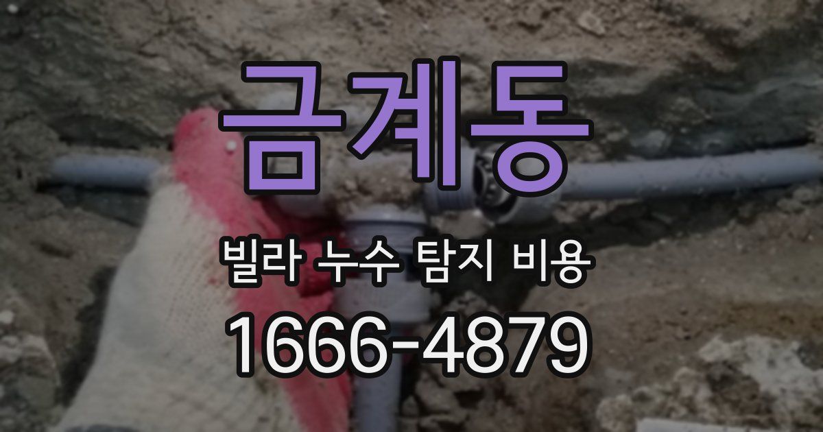 금계동 빌라 누수 탐지 비용