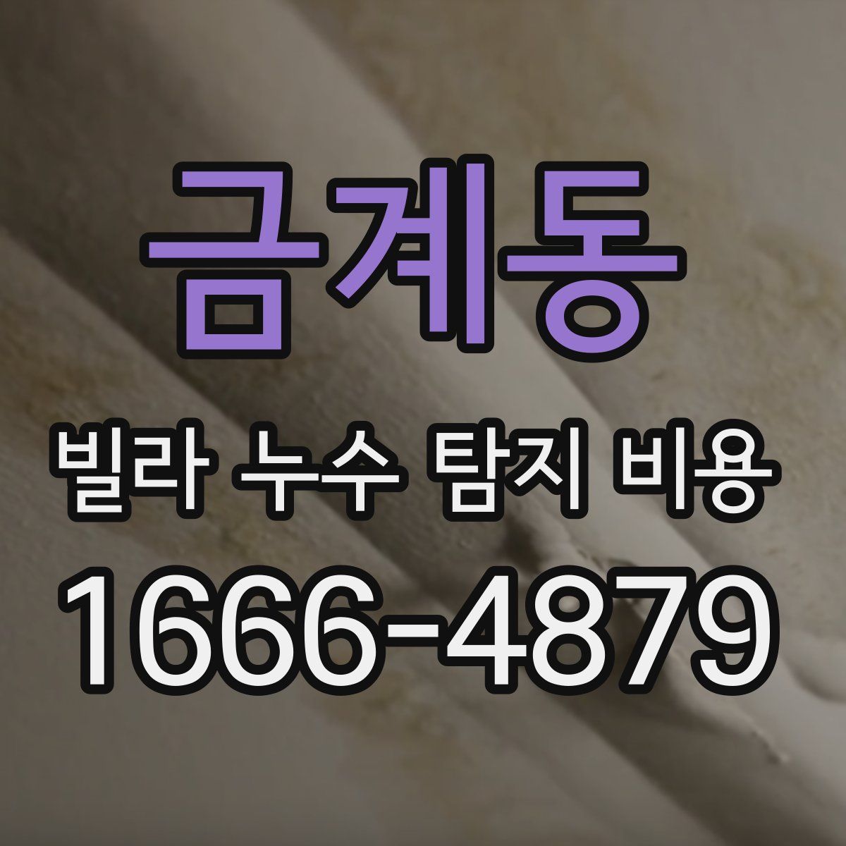 금계동 빌라 누수 탐지 비용