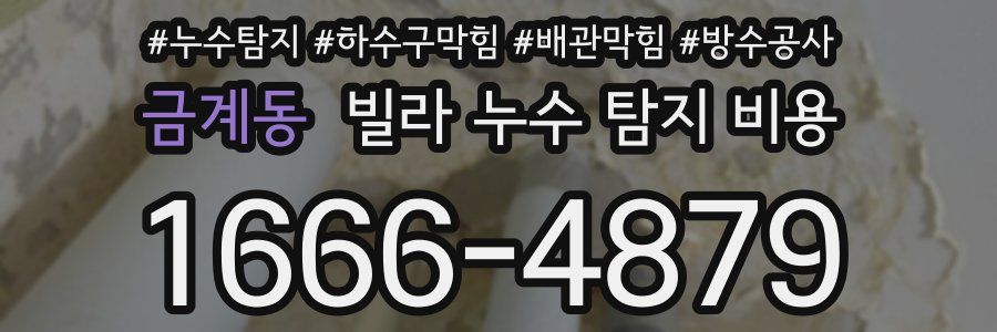 금계동 빌라 누수 탐지 비용