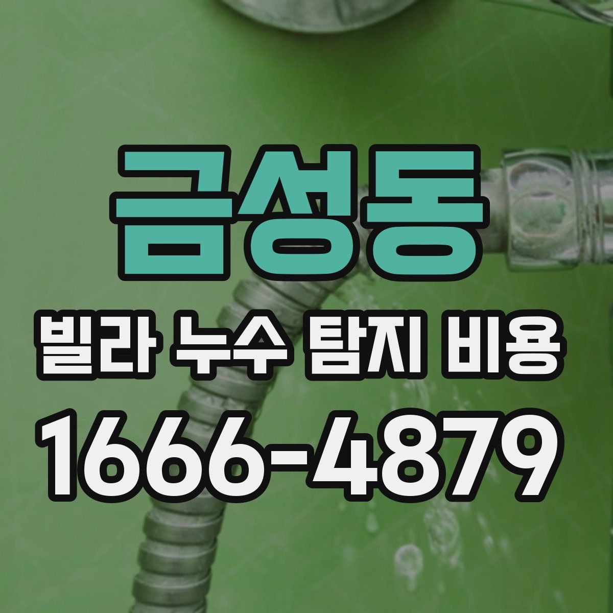 금성동 빌라 누수 탐지 비용