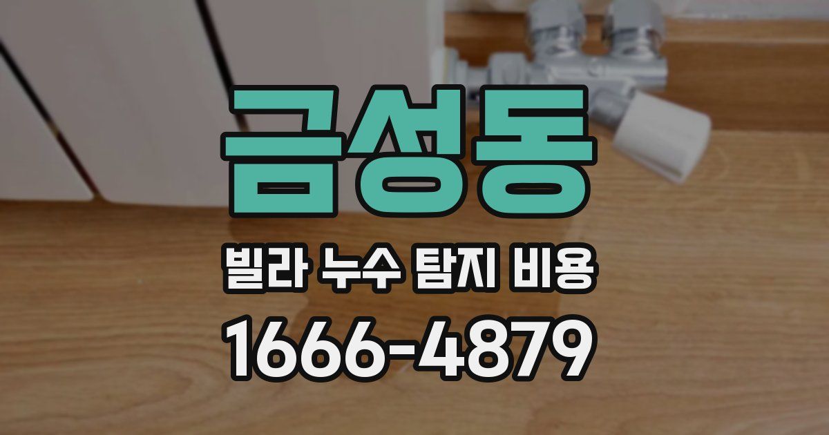 금성동 빌라 누수 탐지 비용