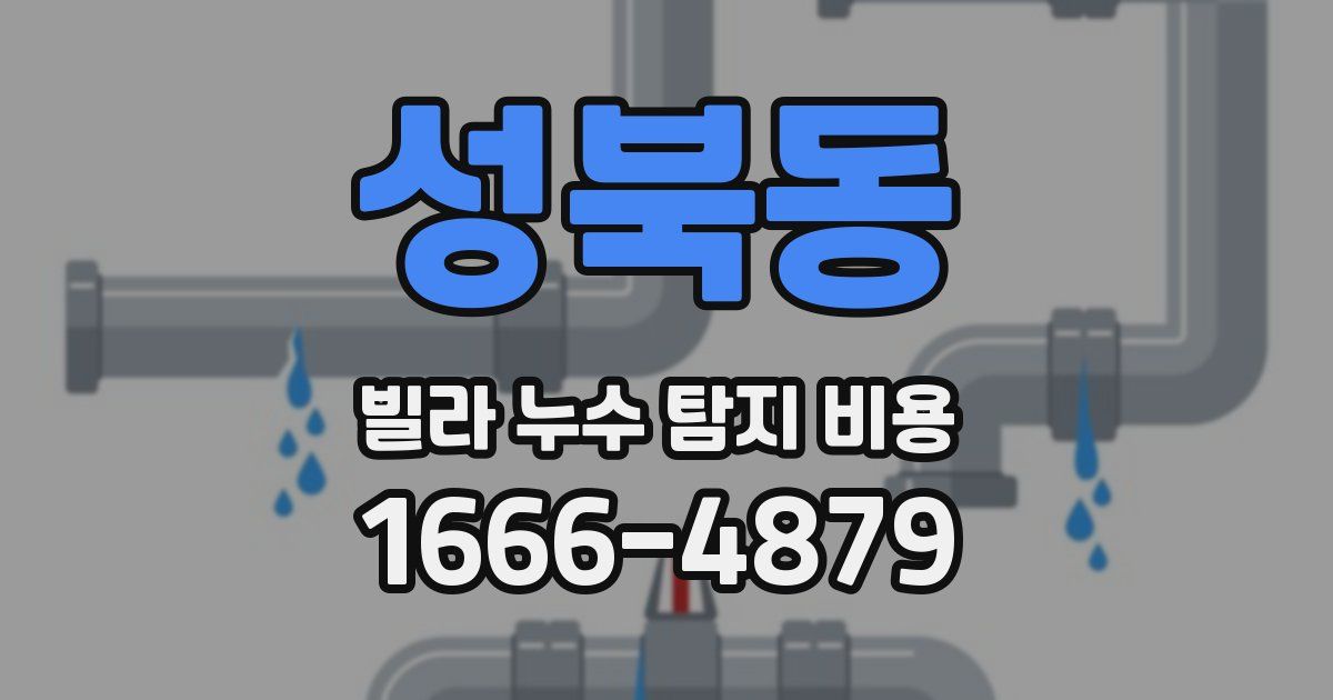 성북동 빌라 누수 탐지 비용